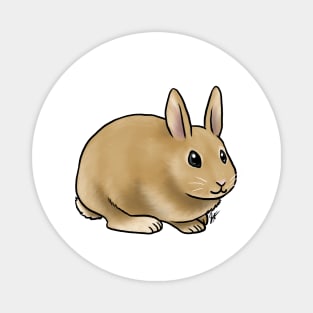 Small Mammal - Rabbit - Orange Netherland Dwarf Magnet